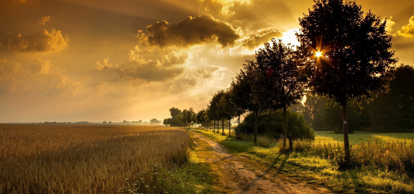 733226-amazing-nature-wallpaper