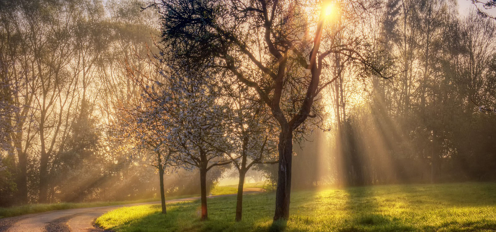 733226-amazing-nature-wallpaper_0004_countryside-pictures-5135-5441-hd-wallpapers